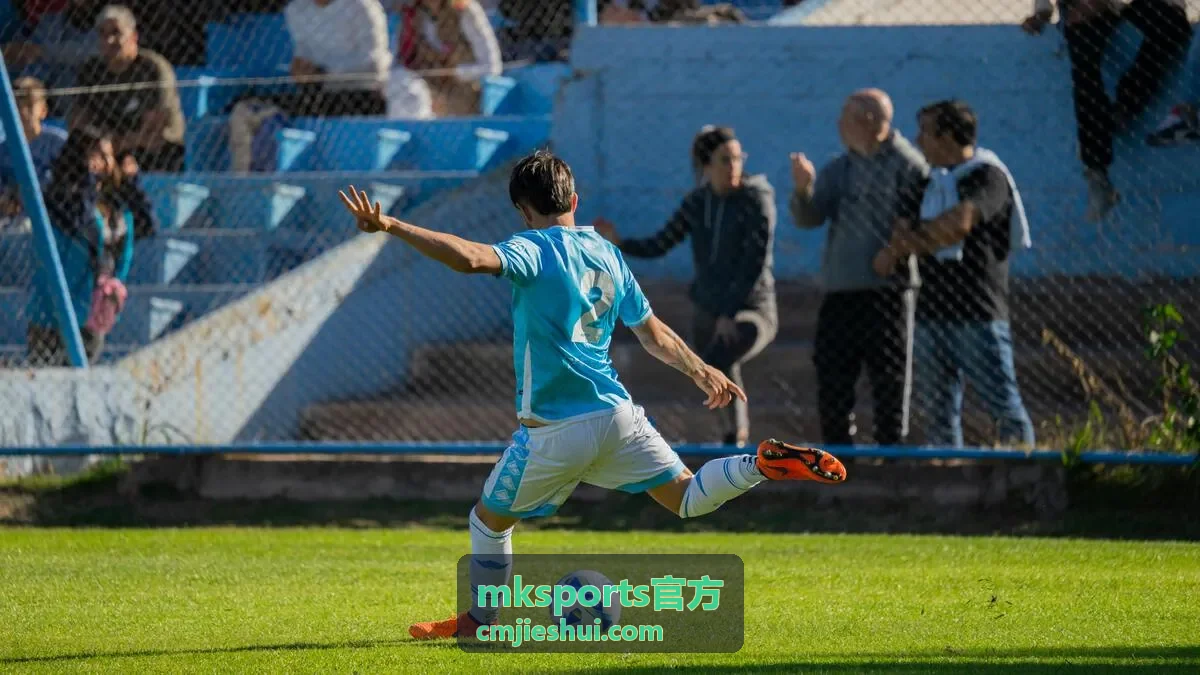 mksports官方场地收纳柜与运动安全防护设施供货